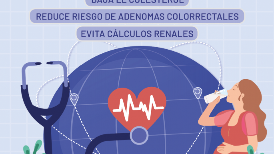 ilustracion_boletin_129_b