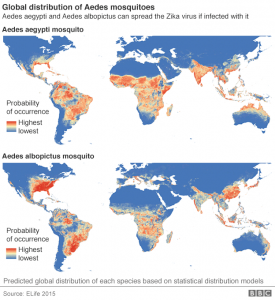 mapa mosquito region