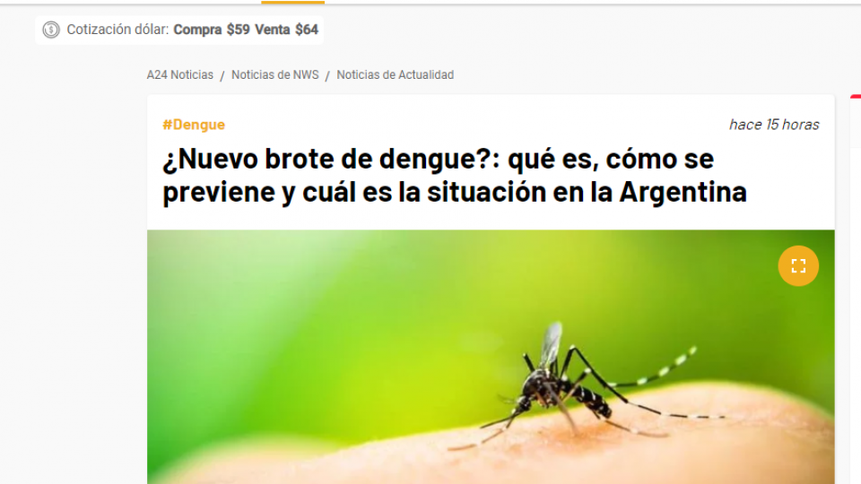 nuevo brote a24