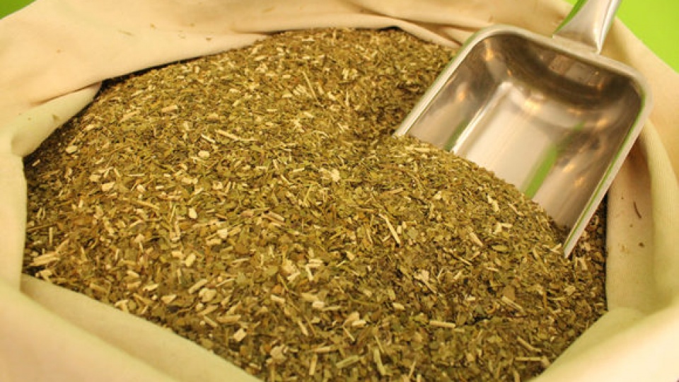 yerba mate
